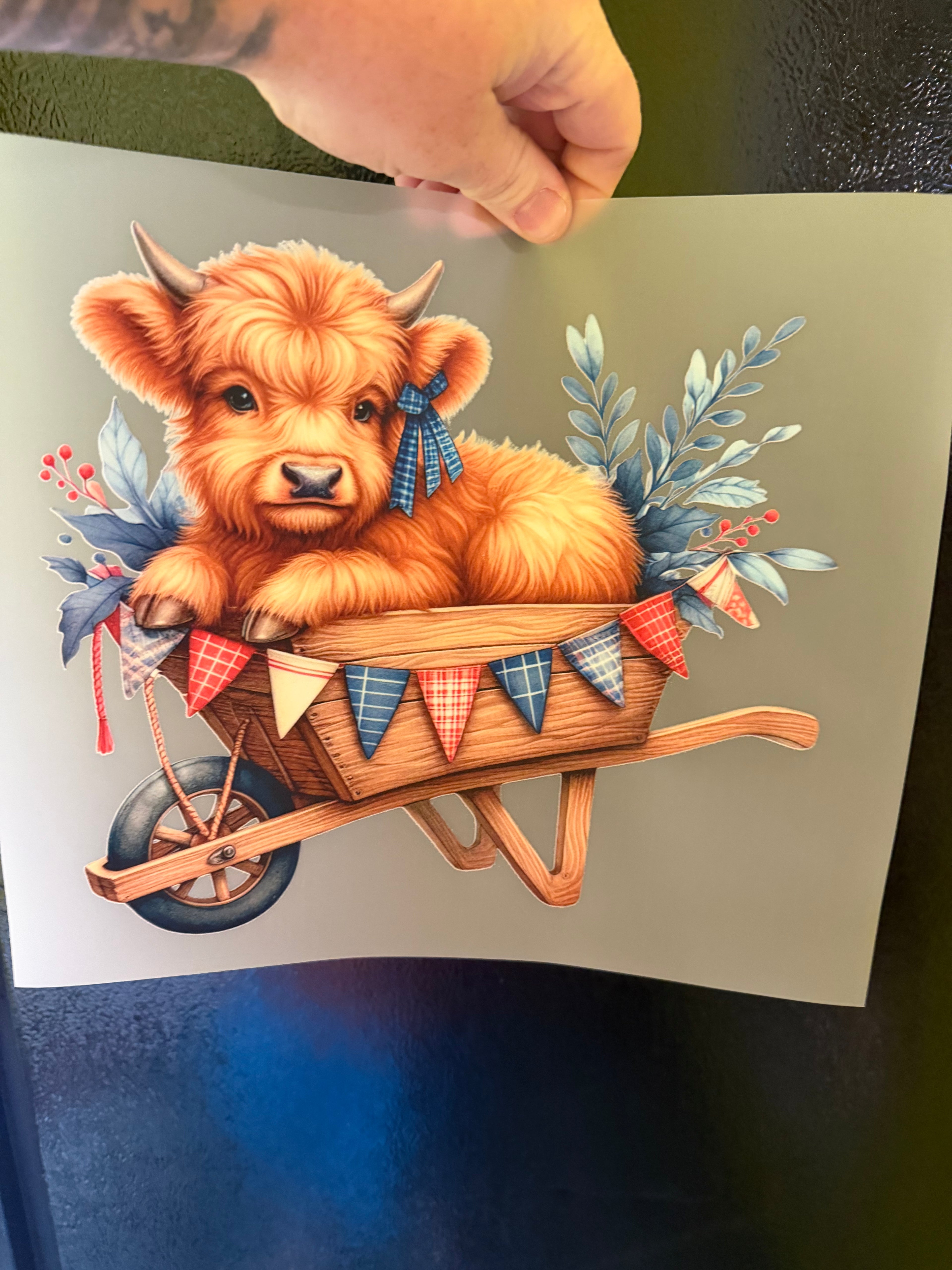 HIGHLAND COW DTF PRINT VARIANT 4